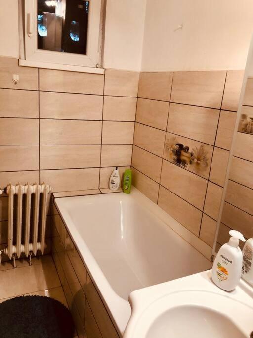 تيميشورا Nice Apt Near Spitalul Judetean, All You Need Lr14 المظهر الخارجي الصورة
