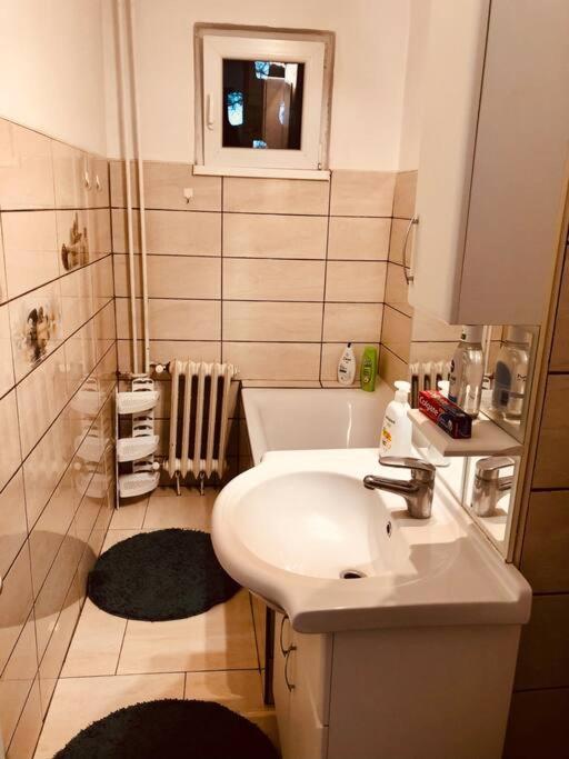 تيميشورا Nice Apt Near Spitalul Judetean, All You Need Lr14 المظهر الخارجي الصورة