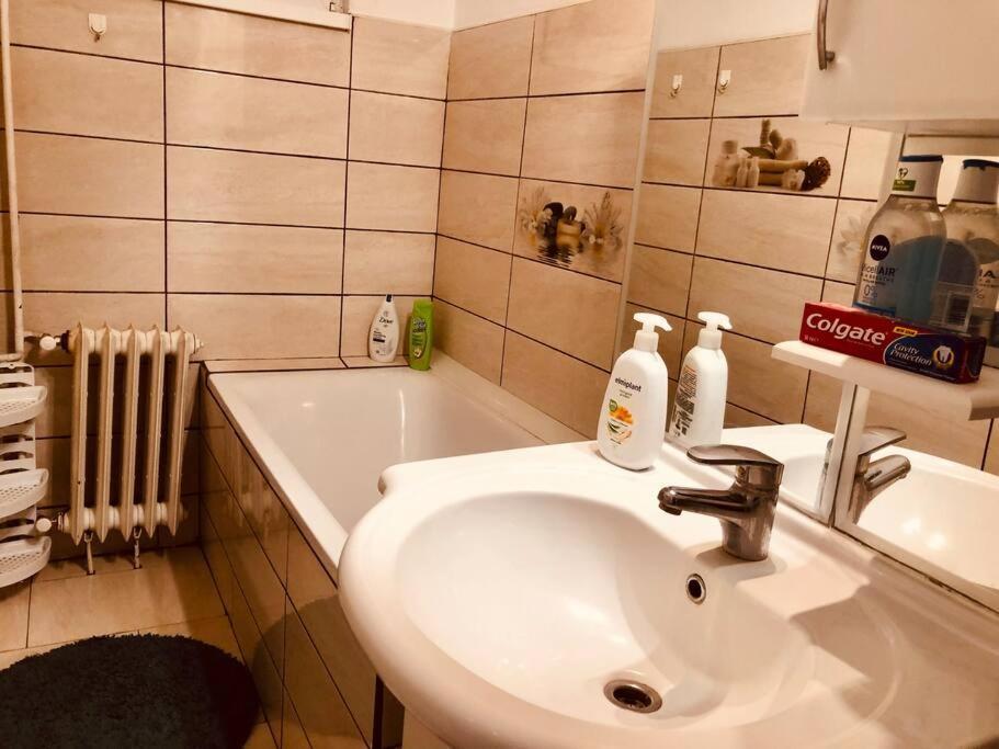 تيميشورا Nice Apt Near Spitalul Judetean, All You Need Lr14 المظهر الخارجي الصورة