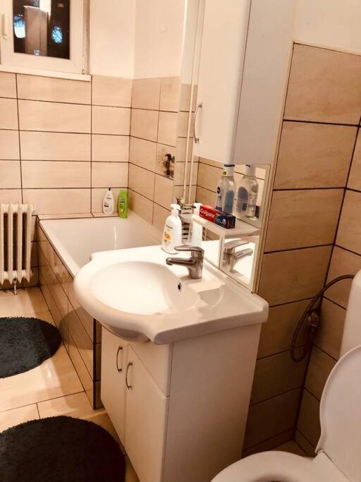 تيميشورا Nice Apt Near Spitalul Judetean, All You Need Lr14 المظهر الخارجي الصورة