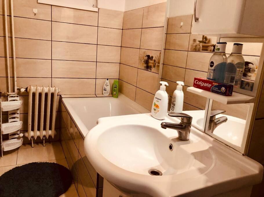 تيميشورا Nice Apt Near Spitalul Judetean, All You Need Lr14 المظهر الخارجي الصورة