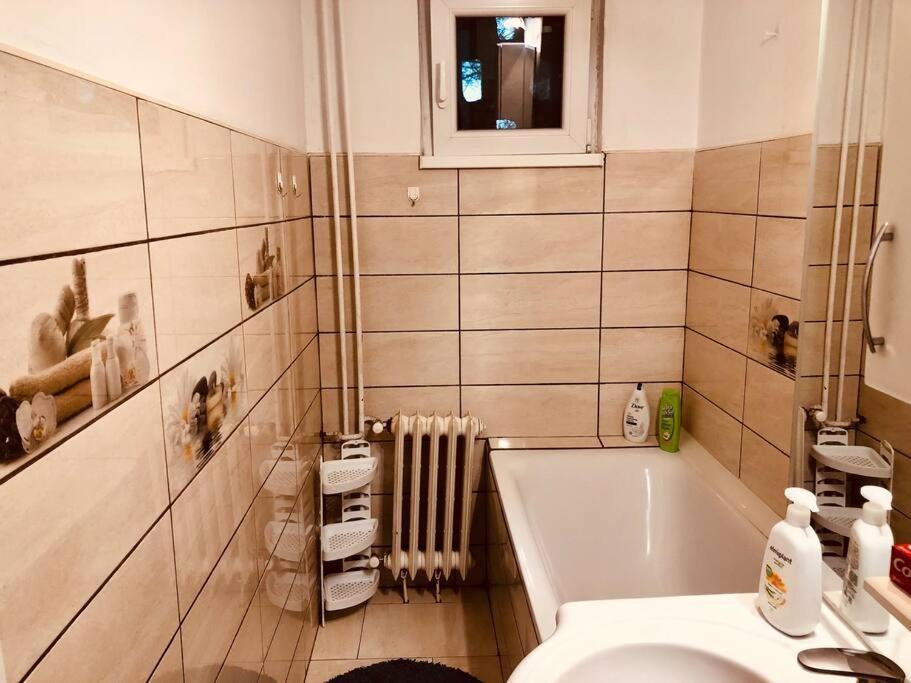 تيميشورا Nice Apt Near Spitalul Judetean, All You Need Lr14 المظهر الخارجي الصورة