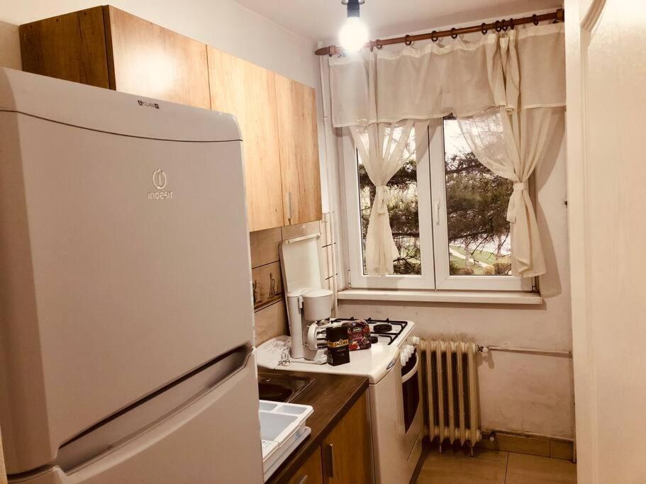 تيميشورا Nice Apt Near Spitalul Judetean, All You Need Lr14 المظهر الخارجي الصورة