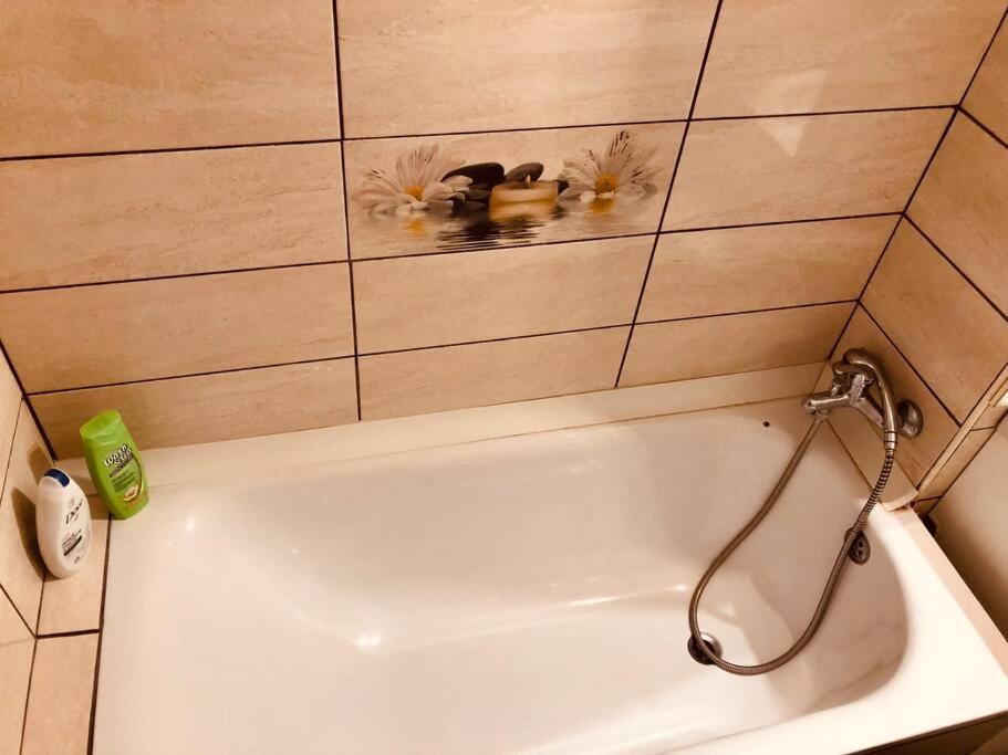 تيميشورا Nice Apt Near Spitalul Judetean, All You Need Lr14 المظهر الخارجي الصورة