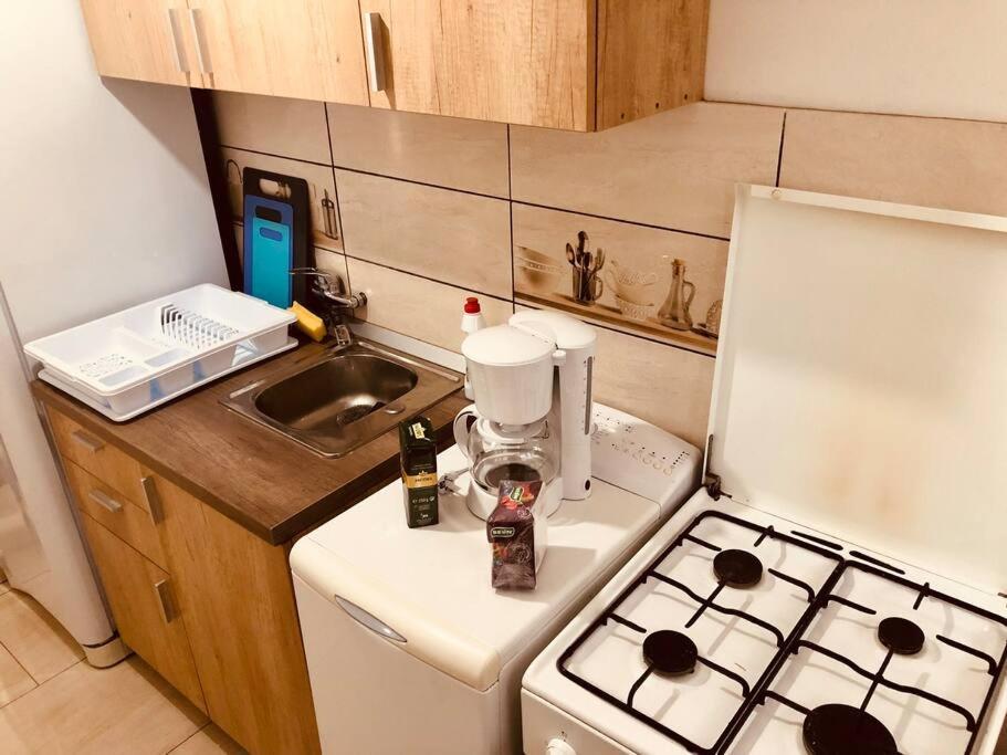 تيميشورا Nice Apt Near Spitalul Judetean, All You Need Lr14 المظهر الخارجي الصورة